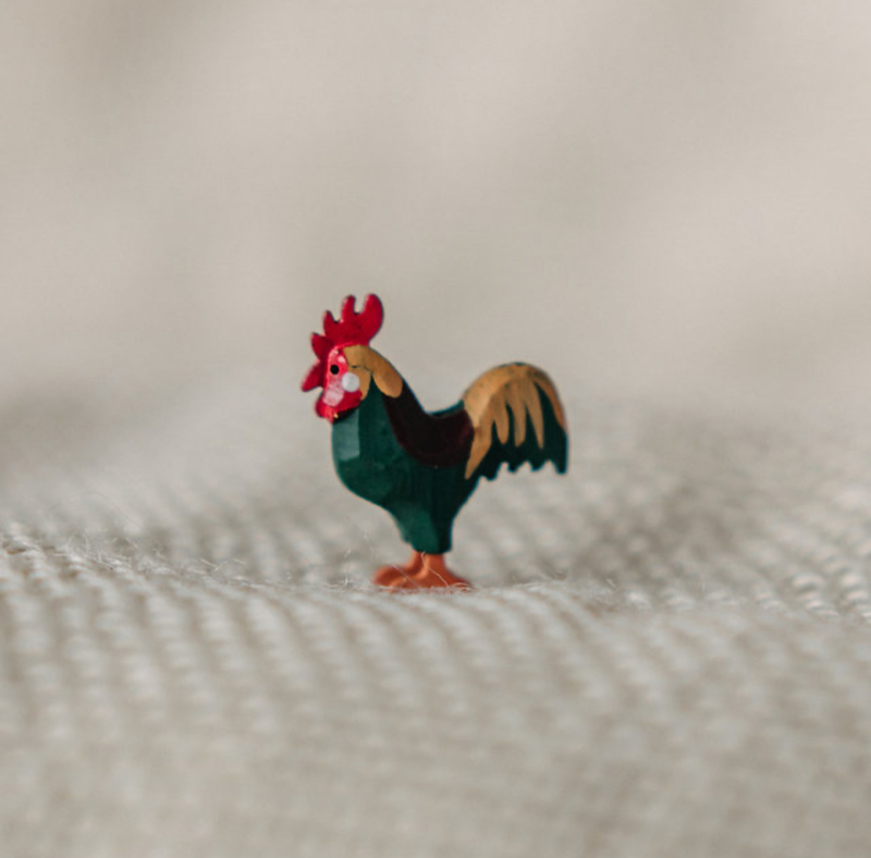 Content img 7669