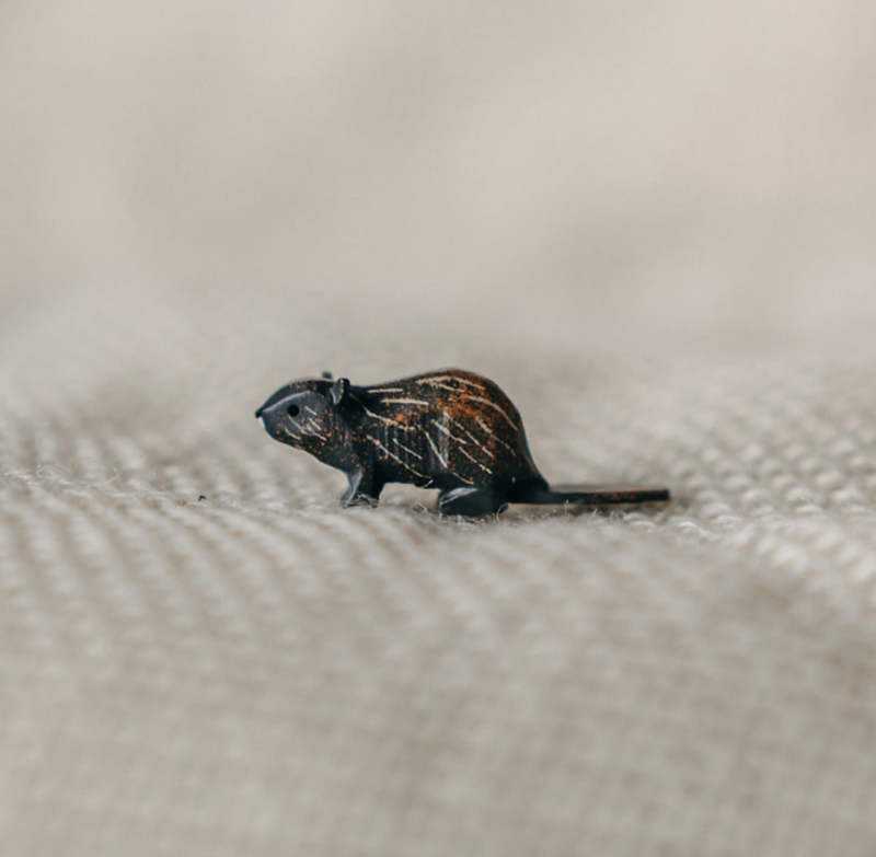 Content img 7670
