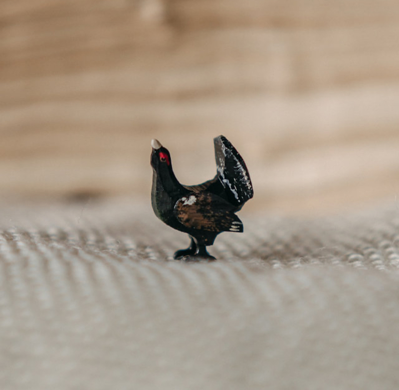 Content img 7882