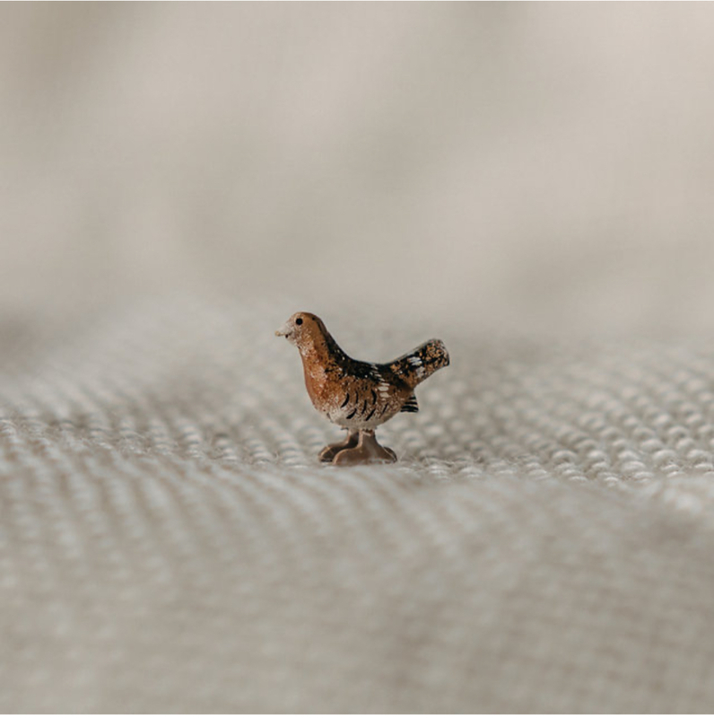 Content img 7883